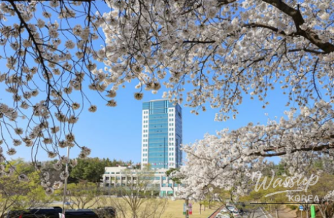 Discovering Daegu University's Scenic Picnic Spots_02