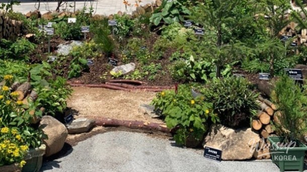Experience the Jeonju Garden Expo: A Springtime Celebration_04