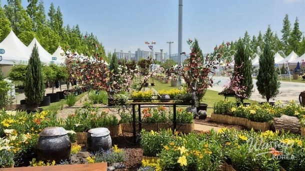 Experience the Jeonju Garden Expo: A Springtime Celebration_05