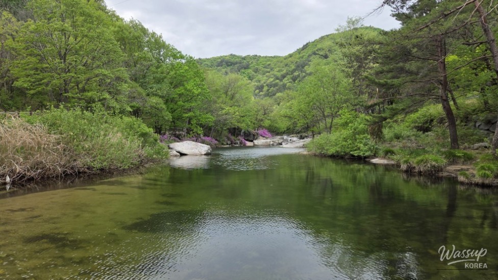Spring Day in Wolsung Valley_03