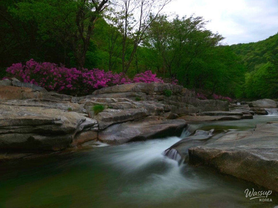 Spring Day in Wolsung Valley_04