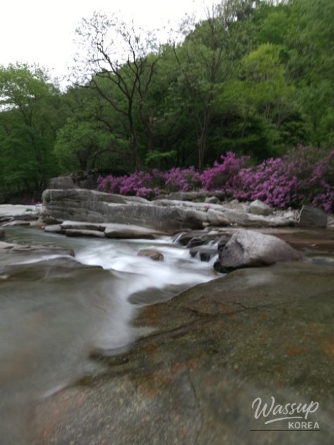 Spring Day in Wolsung Valley_09
