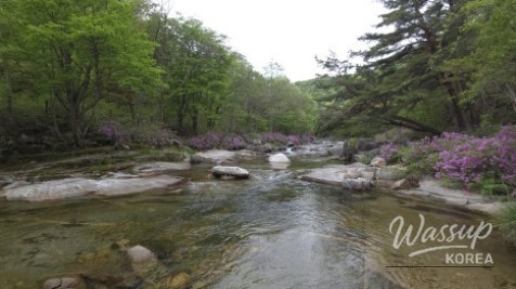 Spring Day in Wolsung Valley_08