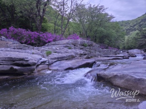 Spring Day in Wolsung Valley_05