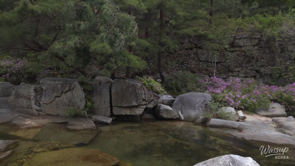 Spring Day in Wolsung Valley_15