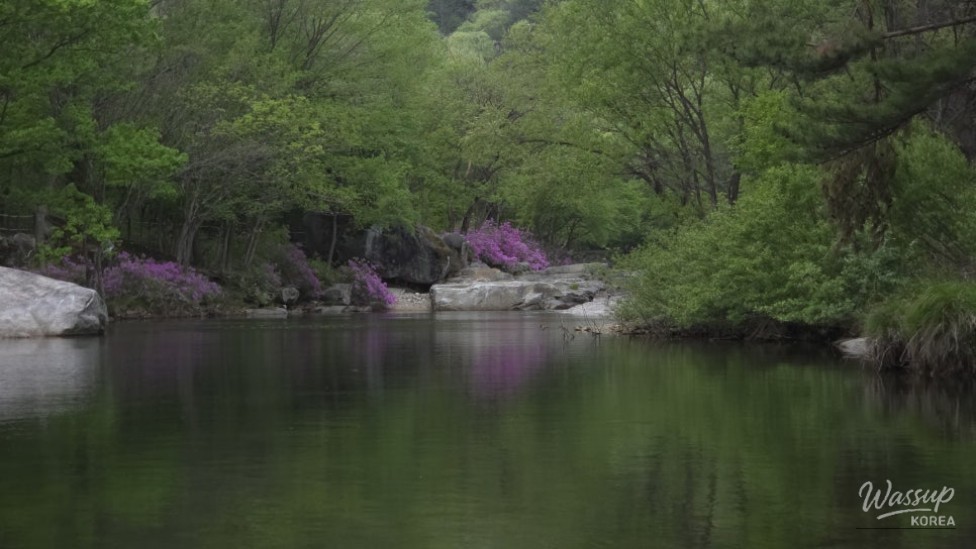 Spring Day in Wolsung Valley_11
