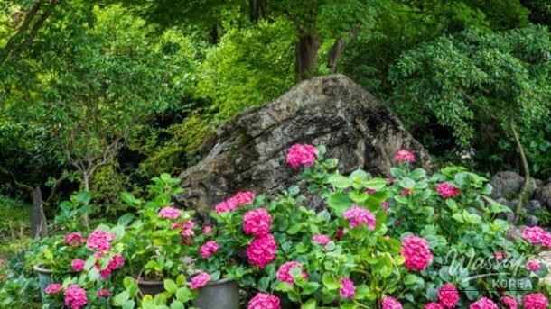 Summer Escapes in Jeonbuk: Nature's Best Spots_02