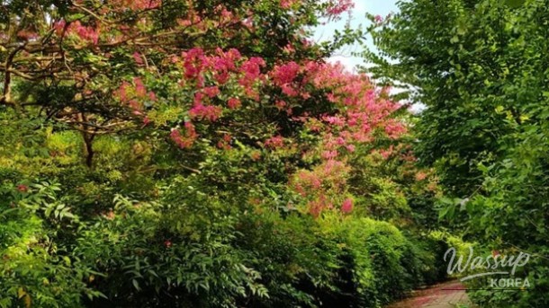 Summer Escapes in Jeonbuk: Nature's Best Spots_01