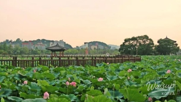 Summer Escapes in Jeonbuk: Nature's Best Spots_04
