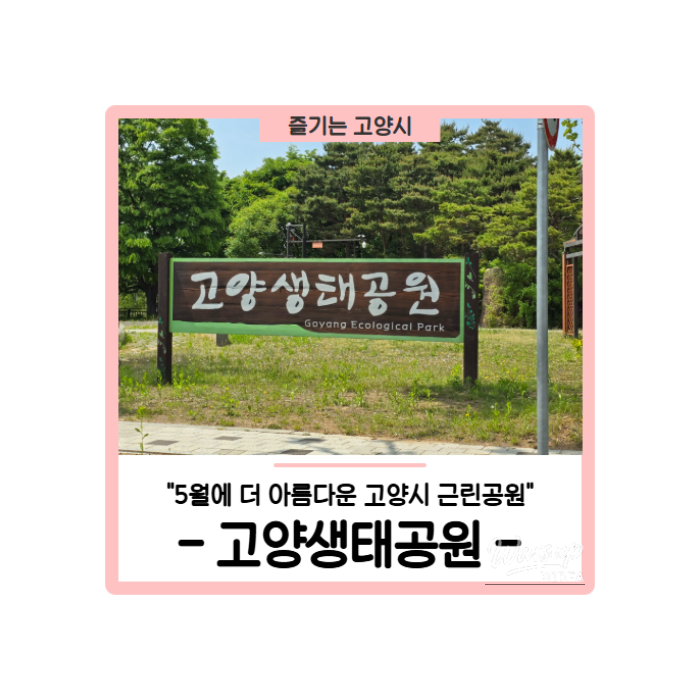 Discover the Beauty of Goyang Ecological Park in May_01