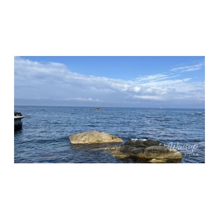 Discovering the New Attractions of Gangneung by 2026_01