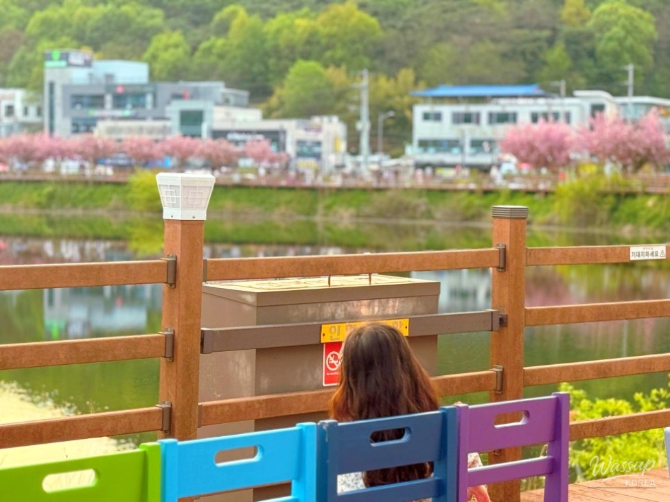 A Spring Day at Deulseong Ecological Park in Gumi, South Korea_14