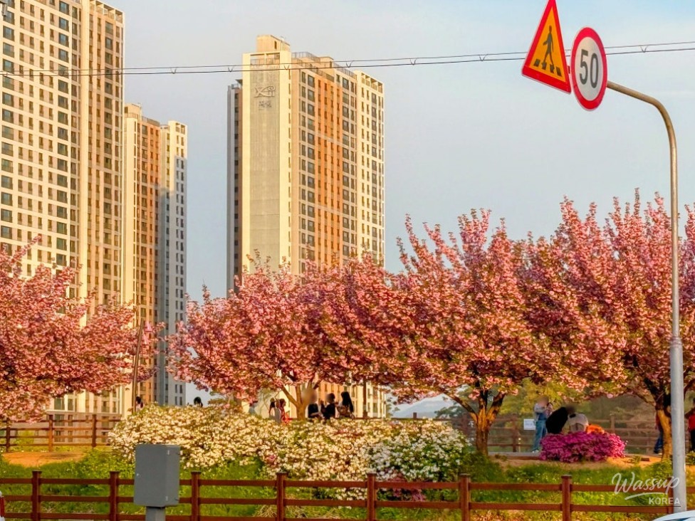A Spring Day at Deulseong Ecological Park in Gumi, South Korea_19