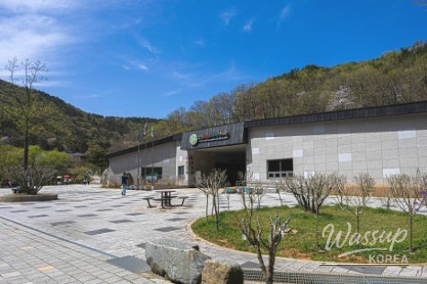 Spring Outing Recommendation: Mugunghwa Arboretum in Boryeong, Chungnam_04