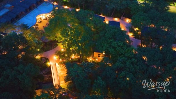 Discovering the Hidden Oasis: Surak Rest Area in Seoul_04