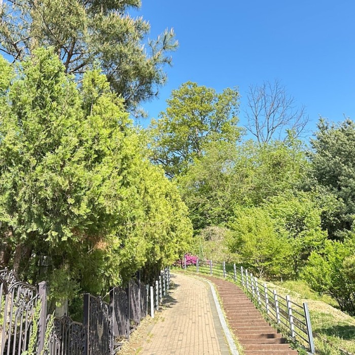 A Tranquil Retreat in Dangjin: Gijisi Neighborhood Park3696