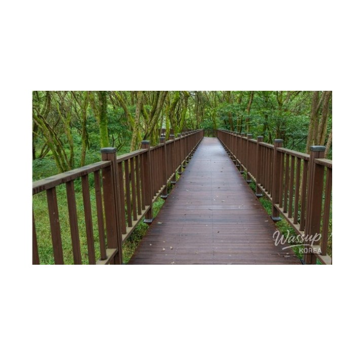 Exploring the Serenity of Nature: Four Ideal Spots for Reflection in May3697
