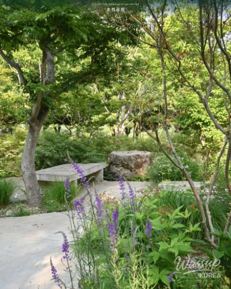 Spring Outing Recommendations at Jinju Chojon Park, Gyeongnam_06