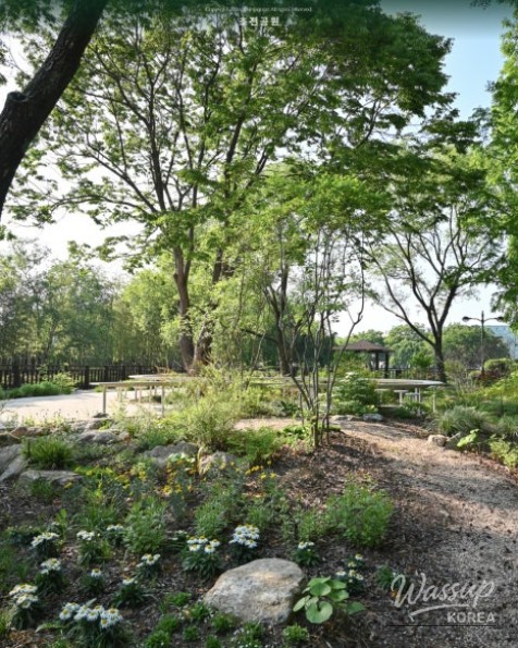 Spring Outing Recommendations at Jinju Chojon Park, Gyeongnam_03