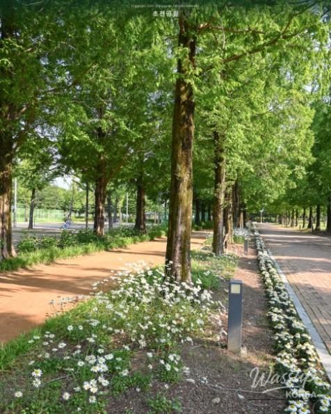 Spring Outing Recommendations at Jinju Chojon Park, Gyeongnam_08