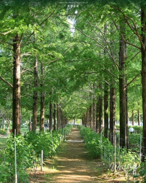 Spring Outing Recommendations at Jinju Chojon Park, Gyeongnam_09