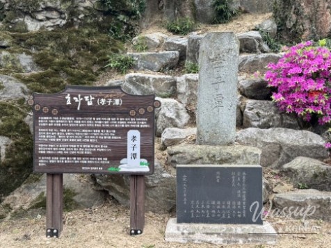 Exploring Mujinjeong: A Tranquil Retreat in Hamann_04