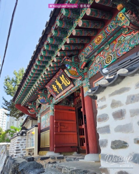 Discovering Accessible Temples in Jinju for Buddha's Birthday_05