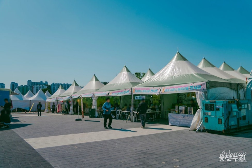Ulsan Taehwa River Festival: A Vibrant Celebration of Spring_03