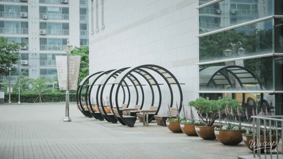 Discover the Meaningful Experience at Gyeongsan Municipal Museum_03