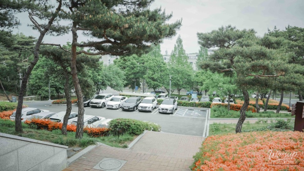 Discover the Meaningful Experience at Gyeongsan Municipal Museum_01