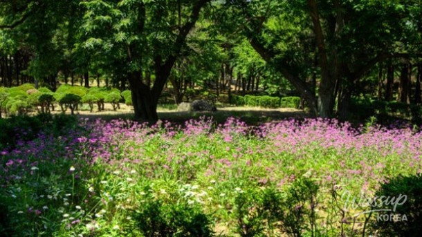 Discovering the Hidden Gem: Agape Garden in Iksan, South Korea_04