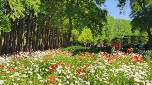 Discovering the Hidden Gem: Agape Garden in Iksan, South Korea_01