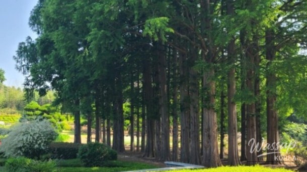 Discovering the Hidden Gem: Agape Garden in Iksan, South Korea_05