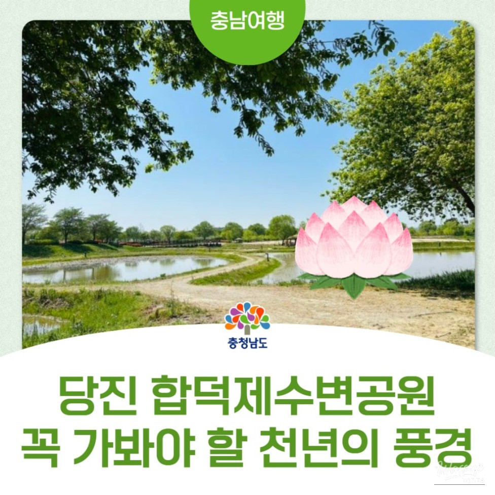 Exploring the Serenity of Hapdeok Reservoir Park_01