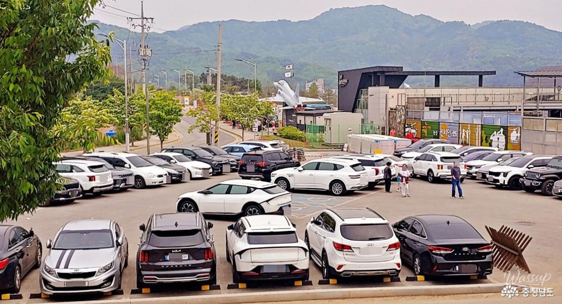 Exploring Sunshine Studio in Nonsan_03