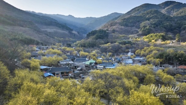 Exploring the Literary Charm of Chuncheon: A Perfect Day Trip_01