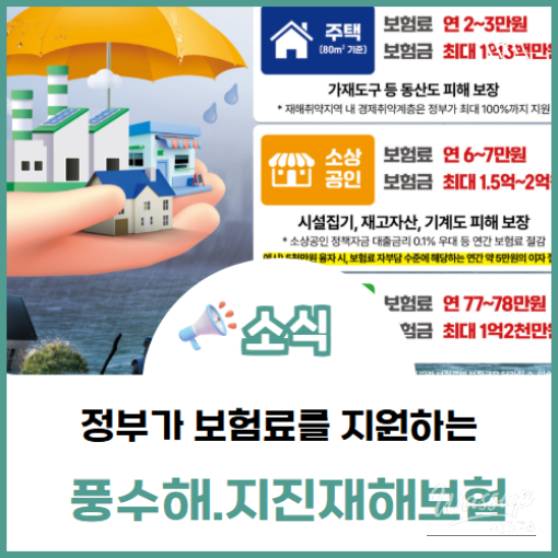 Government Support for Disaster Insurance_06