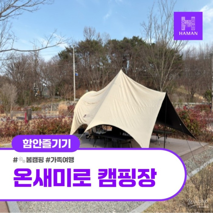 Exploring Onsaemiro Auto Camping Site in Hamann1810