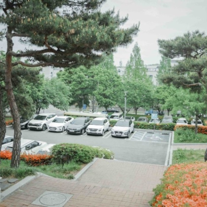 Discover the Meaningful Experience at Gyeongsan Municipal Museum1809
