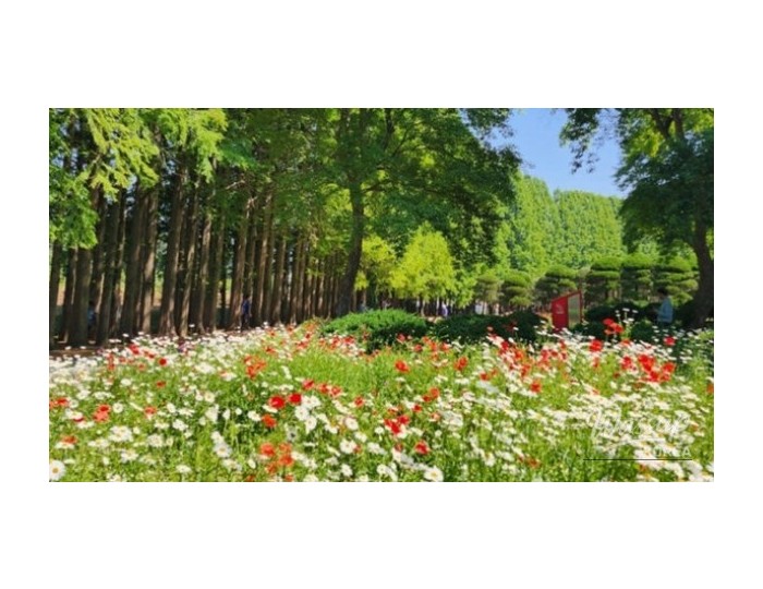 Discovering the Hidden Gem: Agape Garden in Iksan, South Korea float