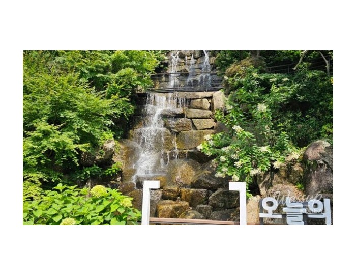 Discovering the Enchanting Beauty of Hwadam Forest in May float