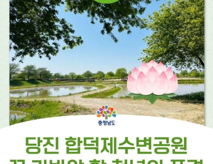 Exploring the Serenity of Hapdeok Reservoir Park float