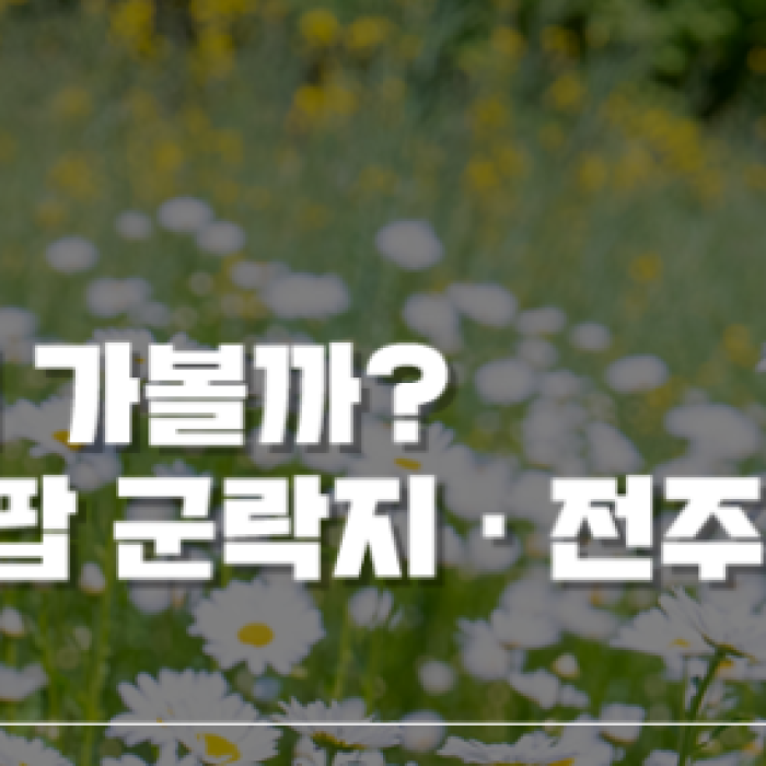 Spring Flower Viewing Spots in Jeonju1815