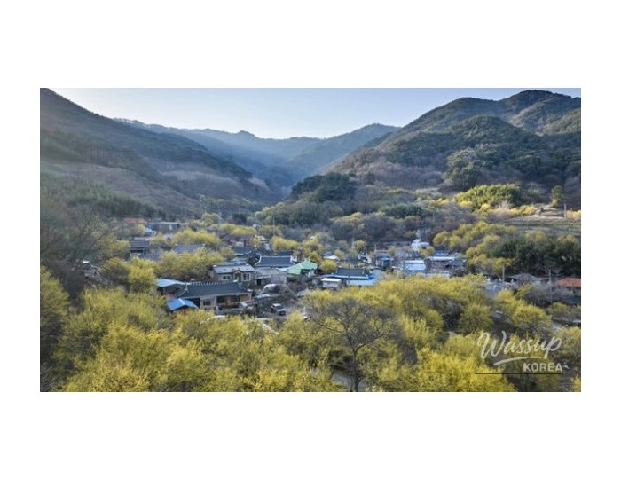 Exploring the Literary Charm of Chuncheon: A Perfect Day Trip float