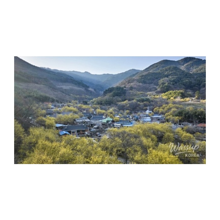 Exploring the Literary Charm of Chuncheon: A Perfect Day Trip3758