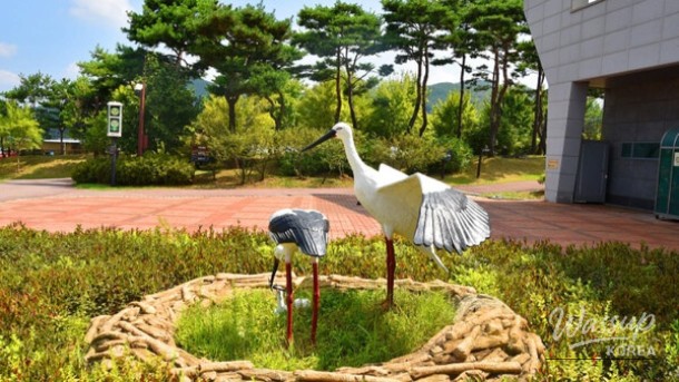 Discover the Beauty of Yesan: A Nature Retreat in South Korea_05