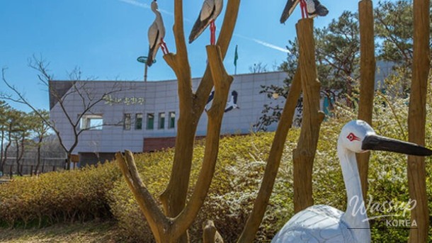 Discover the Beauty of Yesan: A Nature Retreat in South Korea_04