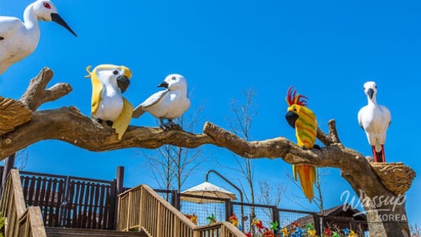 Discover the Beauty of Yesan: A Nature Retreat in South Korea_02