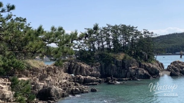 Exploring the Beautiful Gokunsan Archipelago: A Perfect Spring Getaway_04