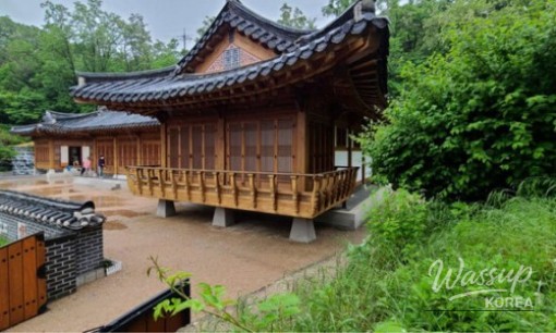 Discover the Beauty of Suncheon Bay National Garden_08